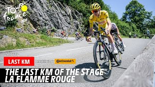 Last Km  Stage 15  Tour de France 2024 [upl. by Shandra387]