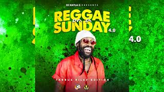 DJ Kayla G  Reggae On A Sunday Vol 4 TARRUS RILEY EDITION Mix [upl. by Gerrit644]