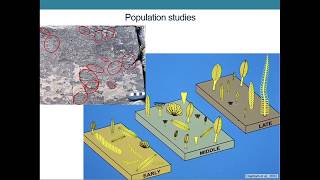 The Ediacaran Period Glimpses of the Earths Earliest Animals [upl. by Wickman]