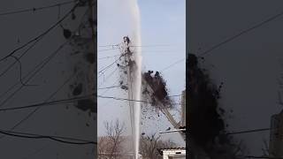 Birds Nest Destroyed By Fire Fighters TrendingShorts TrendingVideos ViralVideos [upl. by Godber]