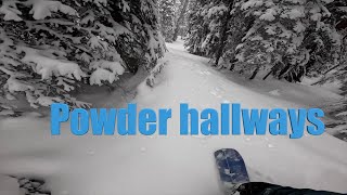 Powder Hallways 3252024 academysnowboardco [upl. by Benzel]