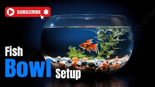 Small Aquarium Decoration Ideas  Small Aquarium Setup aquarium guppyfish trending video [upl. by Asset]