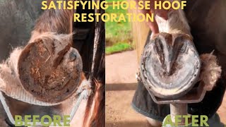 Full Horse Hoof Restoration ASMR [upl. by Kentiga150]