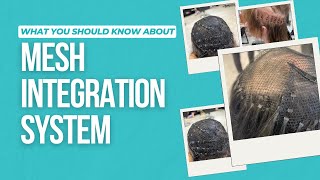 What is the Mesh Integration System [upl. by Housum]