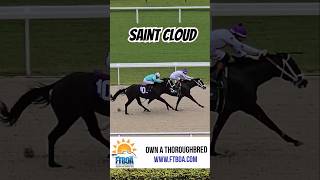 Saint Cloud crossing the wire first in race 4 Edwin González gets his 2nd win todayGulfstreamPark [upl. by Phillane]