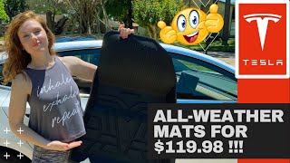 Tesla Model 3 AllWeather Floor Mats By BougeRV Only 11998 LOVE THEM [upl. by Alyehs491]