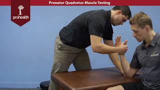 Pronator Quadratus Muscle Test Palp Dr Vizniak Muscle Manual [upl. by Nnaasil569]