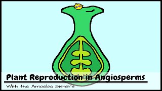 Plant Reproduction in Angiosperms [upl. by Ezar90]