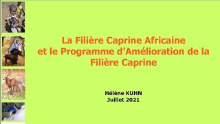 Elevage caprin en Afrique [upl. by Hars764]