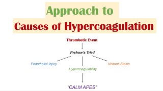 quotExcessive Clottingquot HYPERCOAGULATION  Virchow’s Triad  Causes of Venous and Arterial Thrombosis [upl. by Ailesor]