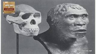 Piltdown Man discovered [upl. by Verlee]