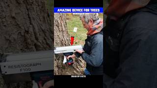 How This Device Check Health Of The Trees😱 [upl. by Jovi449]