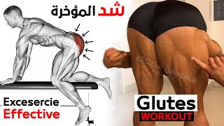 16 Best Exercise Glute Workout [upl. by Cleveland]