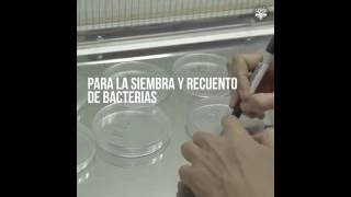 LACAL  Análisis de Enterobacterias en productos lácteos UNSa [upl. by Eugnimod]