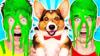 Dogs Pick our Mystery Slime Challenge 2 amp How to Make the Best Funny DIY Orbeez Switch Up Game [upl. by Cassius]