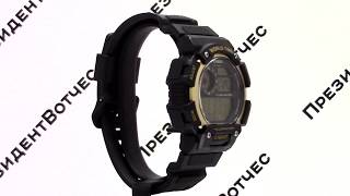 Часы Casio Illuminator AE1400WH9A  Круговой обзор от PresidentWatchesRu [upl. by Seline]