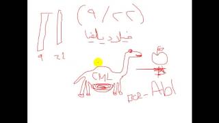 Pathology  drNafea  Chronic myeloid leukemia CML اورام [upl. by Hceicjow]