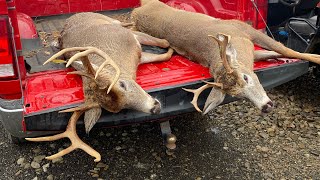 Success Pa Rifle Deer Season 2022 DAY 2 amp 3 PENNSYLVANIA [upl. by Erdnael311]