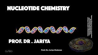 NUCLEOTIDE CHEMISTRY [upl. by Alleber277]