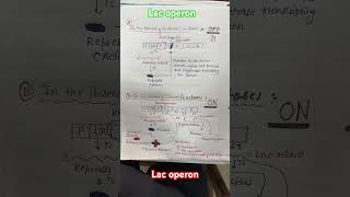 Lac Operon  Expression of gene regulation in prokaryotes  Molecular biology  Genetics [upl. by Adnamar180]