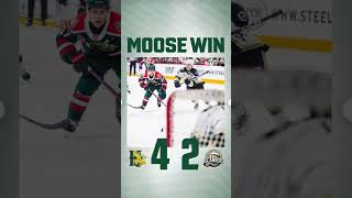 Halifax Mooseheads win hockey qmjhl mooseheads shorts [upl. by Orin]