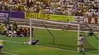 Greatest Ever Goalkeeper Save  Gordon Banks Saves from Pele [upl. by Brandi]