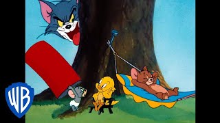 Tom amp Jerry  Tom amp Jerry in Hindi Cartoon  टॉम आइंड जेरी हिंदी  ‎wbkids [upl. by Boylan]