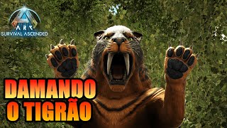 DIA 21  COMO DOMAR O DENTE DE SABE  SABERTOOTH   ARK SURVIVAL ASCENDED [upl. by Attenod405]