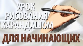 Урок рисования карандашом для начинающих [upl. by Phonsa]