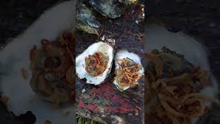 Oyster Catch and Feast Shucking Wild Oysters with a Tasty Sauce Recipe [upl. by Ariec455]