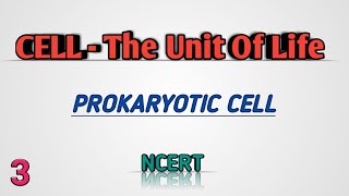 Prokaryotic cell  CELLTHE UNIT OF LIFE  NEET  Class11 [upl. by Cadman]