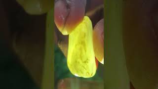 Heliodor Worth 5001 million 🙀 Heliodor gem gemstone naturalgems stone heliodorcrystal [upl. by Jan]