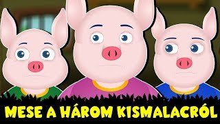 MESE A HÁROM KISMALACRÓL  Esti mese  Tündérmese  Mese  Magyar Tündérmesék [upl. by Myranda]