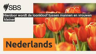 Hierdoor wordt de loonkloof tussen mannen en vrouwen kleiner  SBS Dutch  SBS Nederlands [upl. by Fatima]