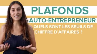 Plafonds auto entrepreneur 2022  les seuils de chiffre daffaires à ne pas dépasser [upl. by Nawyt]