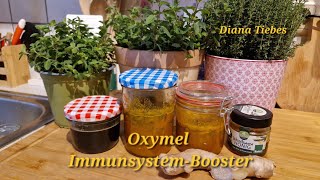 Immunsystem stärken mit Oxymel Einfach selbst gemacht und so gesund und lecker [upl. by Emlynne]