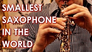 SMALLEST Saxophone in the World 🎷 [upl. by Anhavas]