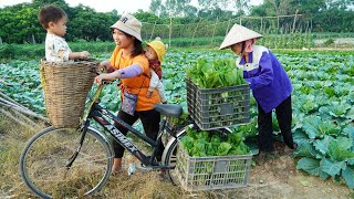 Harvest Green Vegetables Goes to Market Sell  Cooking  Gardening Daily life  Ly Thi Ngoan [upl. by Coke]