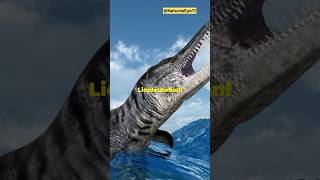 Meet Liopleurodon The Jurassic Sea Monster  prehistoric sea animals  NaturesEye11 shorts [upl. by Obadiah]