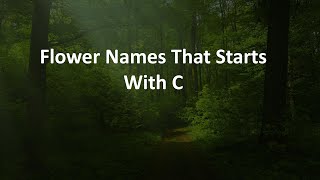 Flower Names That Starts With C [upl. by Ykcim]