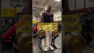 Lifting the worlds heaviest 330 pound golds dumbbells at golds gym Venice shorts [upl. by Sou499]