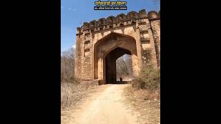 Kankwari Fort Part  1 Sariska Alwar Rajasthan History in Hindi facts alwarfort alwar history [upl. by Ahsiloc]