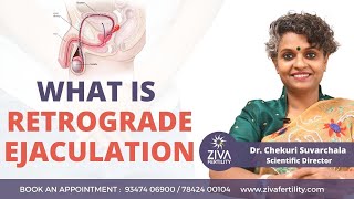 What is retrograde ejaculation  Symptoms and Causes of Retrograde Ejaculation  Dr C Suvarchala [upl. by Aisat925]