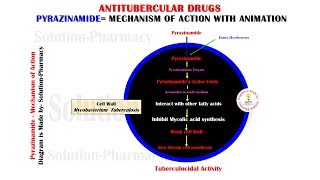 Antitubercular Drug  Pyrazinamide Mechanism of Action Animation  Anti TB Drugs  Pyrazinamide [upl. by Miranda925]