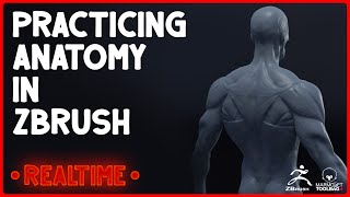 Chill sketching in Zbrush  Anatomy evening [upl. by Hesky]