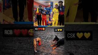 Subscribe🥹💓 support me cricket shortsfeed cricketloveripl2025cricketteamIndiavssouthafricalive [upl. by Ainimreh]