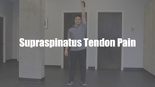 Supraspinatus Tendon Pain Exercises [upl. by Namar]