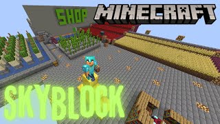 SKYBLOCK  MİNECRAFT [upl. by Audry791]