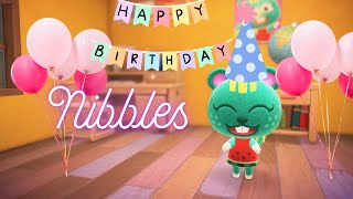 Nibbles Birthday Bash 🎉🎂  Animal Crossing New Horizons [upl. by Somar852]