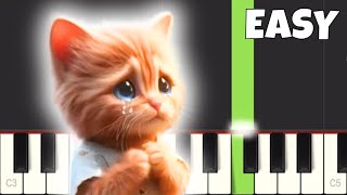 Miaw Miaw Miaw Miaw  EASY Piano Tutorial [upl. by Cacia456]